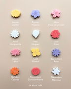 Magnet Jardin familial